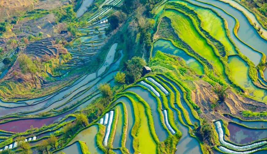 望花区产品视频拍摄